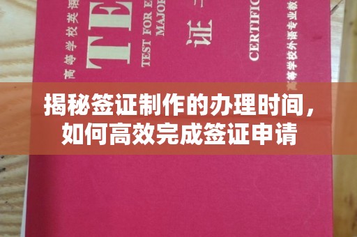 台南揭秘签证制作的办理时间，如何高效完成签证申请